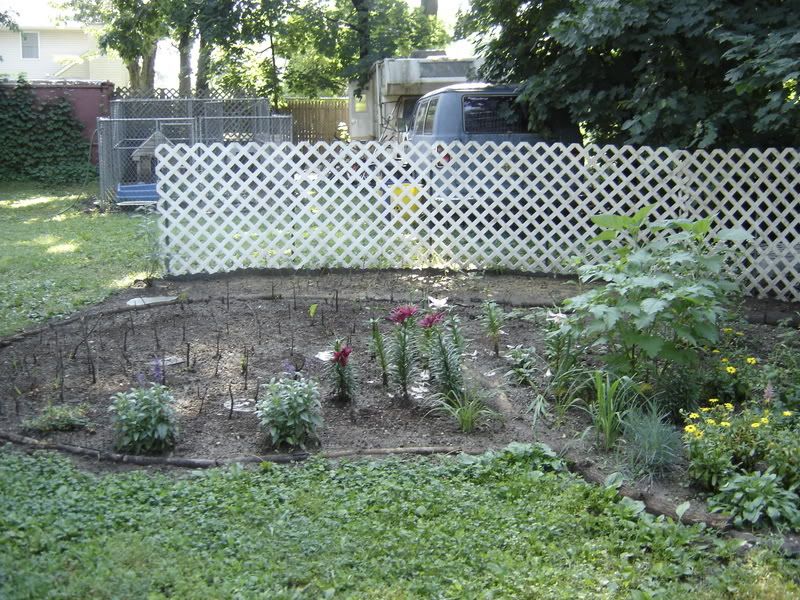 Photo Sharing and Video Hosting at Photobucket